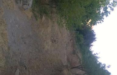 335باغ در بنسا