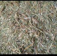 یونجه درجه یک