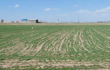 4000 هزار متر زمین در سرعین ورنیاب