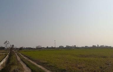 فروش زمین کشاورزی 11000 متر در هلال کلا