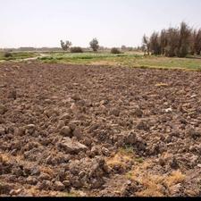 فروش زمین کشاورزی