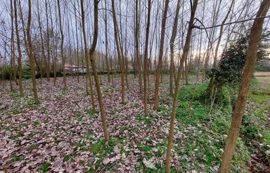 زمین ویلایی – موقعیت دنج نزدیک رشت