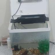 آکواریوم شرکتی