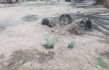 فروش زمین ایرانشهر