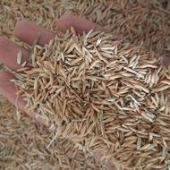 شالی فجر سوزنی 90