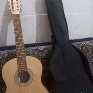 گیتار نو با کیف هرتعدادی بخوایند