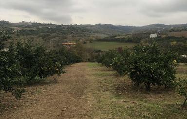 فروش فوری زمین چسبیده به بافت