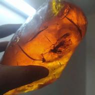 خریدار سنگ کهربا