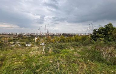 فروش زمین در سوخته کلا جاده نظامی