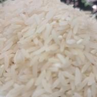 کشت دوم هاشمی دابودشت آمل 450 کیلوگرم نقدی