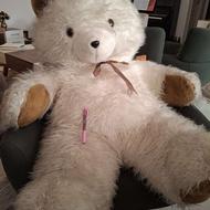 فروش خرس سایز بزرگ