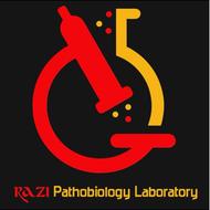 نیرو کار در بخش فنی آزمایشگاه