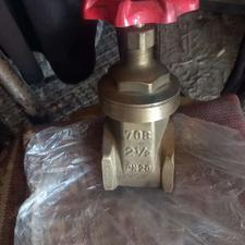 شیر برنجی2 و1/2