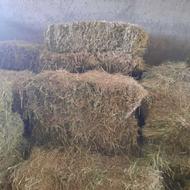 پرس یونجه پر گل