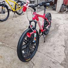 دوچرخه عروسک