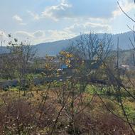 400 متر زمین روستایی (بافت روستا)