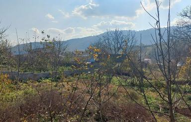 زمین روستایی (بافت روستا)