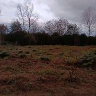 فروش زمین کشاورزی 1150 متر