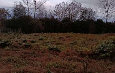 فروش زمین کشاورزی 1150 متر