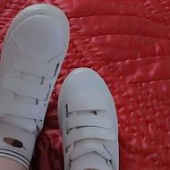 کتونی زنانه ونس سفید سایز40