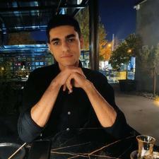 طراح سایت وردپرسی