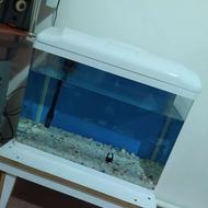 آکواریوم شیشه خم صفر