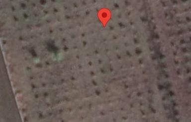 500متر زمین کشاورزی واقع در منطقه آزاد میرود بهنمیر