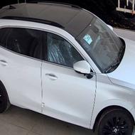 لاماری سفید خشک1404