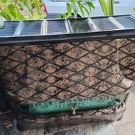 بخاری نیککلا و..