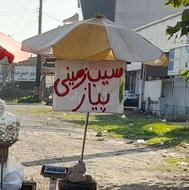 چتر سایبان بساطی