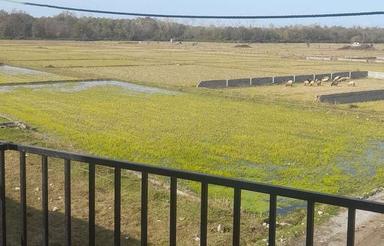 ویلا اجاره شبانه