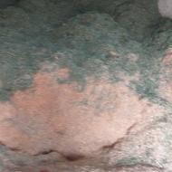 یونجه وسامان