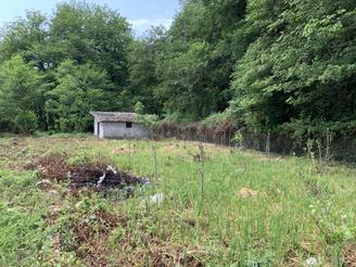 1000 متر زمین واقع در عباس آباد پسنده سفلی