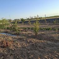 باغ به متراژ 630 متر دای همه امکانات