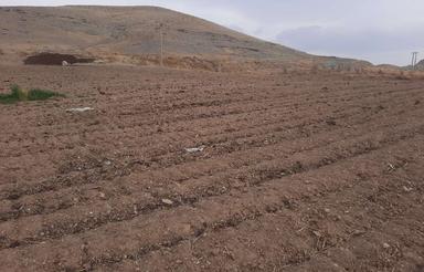 زمین کشاورزی آبی با چاه مجوز دار در قیزکورپی