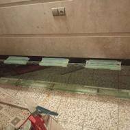 اکواریوم به دیوار نصب میشه