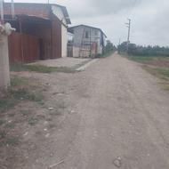 جذب سرمایه گذار در پرورش گوسفندژن دار دو یا چند قلو زا