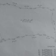 زمین ویودار شوراب سوادکوه