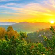 فرصت طلایی خرید باغ پرتقال و نارنگی 2هزار متری با منظره خاص