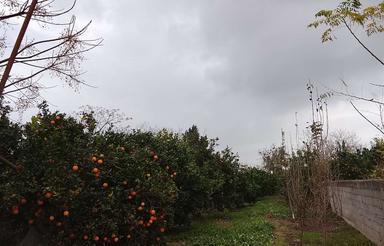 فروش خونه باغ