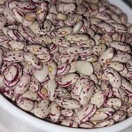 لوبیا چیتی درجه 1 فقط 360 کاشت امسال