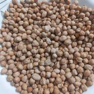 نخود ابگوشتی کشت امسال زود پز