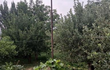 باغ موقعیت شهرک فرهنگیان هشترود