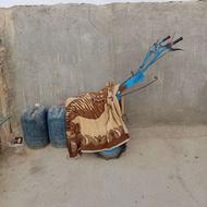 تیلر دیانا دیزل