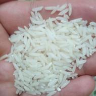برنج طارم هاشمی اصل کشت دوم