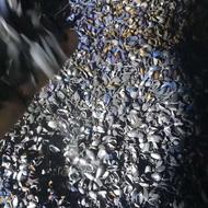 کربن پوست پسته