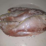 ماهی تنظیم بازار