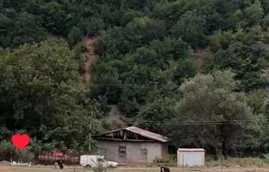 زمین ییلاقی