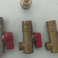 شیر زیر سینگ