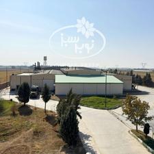 کارگر ماهر دامداری